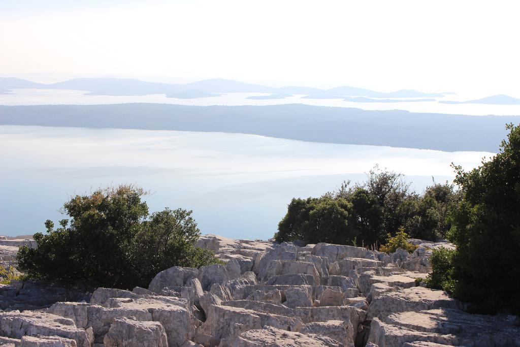 ビビニェThe White House Croatiaアパートメント エクステリア 写真
